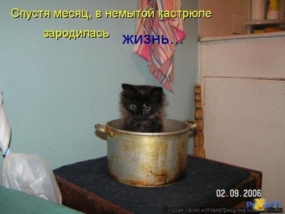жизнь зародилась.jpg
