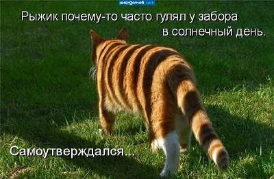 самоутверждался.jpg