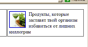 banner-1.gif