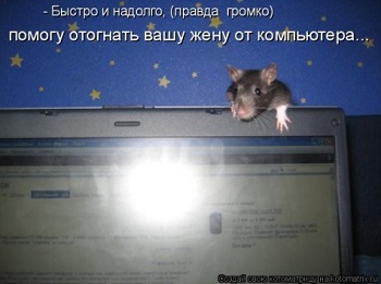 ми ми ми.jpg