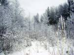 Имя файла=img279.jpg
Размер файла=179КБ
Размеры=922x691
Дата=Авг 04, 2010 img279.jpg
