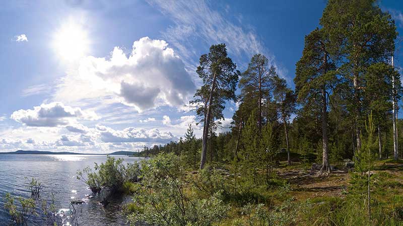  ,   Inari