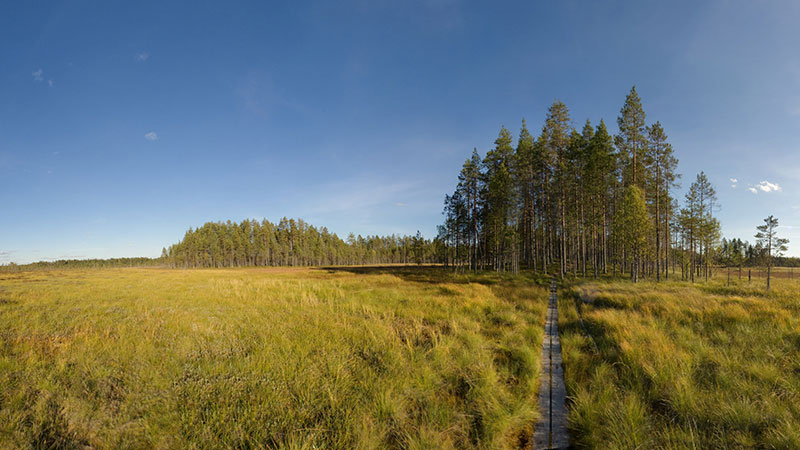 ,   Tiilikkajarvi